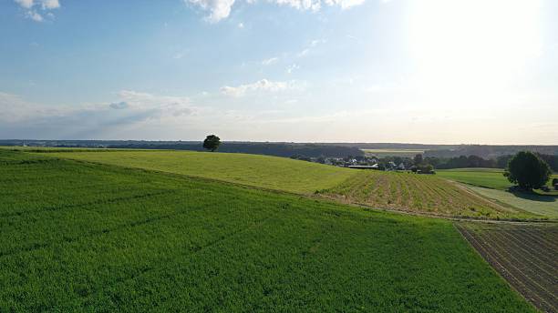 istock Serene rural landscape with green fields and village. 2218209426