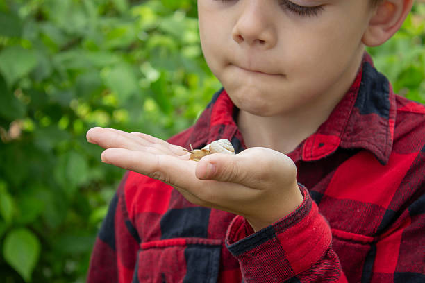 istock Boy looking at snail through magnifying glass, researcher. Selective focus 2218214840