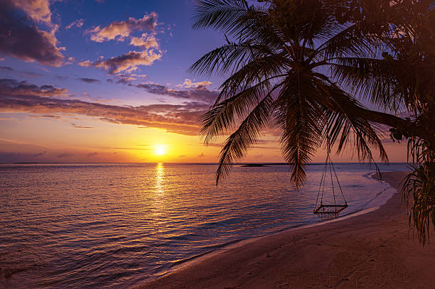 istock Tropical paradise beach with dramatic sky and colorful clouds during the sunset 2218224839