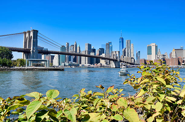 istock New York City Skyscrapers Under Bright Blue Sky 2218226763