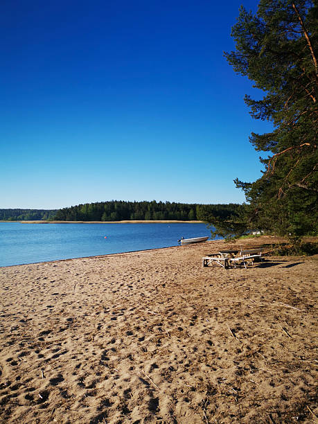 A serene sandy beach nestled in the Finnish Archipelago, showcasing the tranquil beauty of untouched nature with soft sands meeting calm waters under a clear sky.