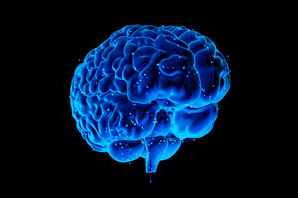 istock Human Brain isolated on black background - Futuristic Concept of Intelligence, science and mind 2218231499