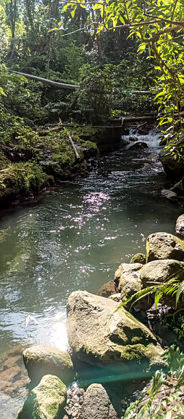 istock the clear river flow beside the large rock 2218231738