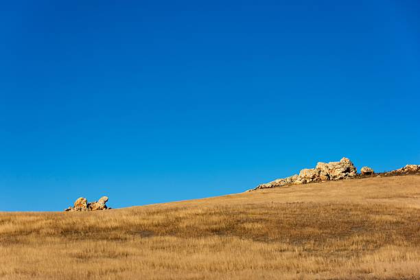A serene landscape of a dry grassy field with scattered rocks under a clear blue sky, capturing the essence of a sunny day.