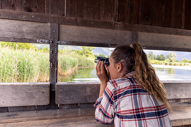 istock Woman Birdwatching in a Rustic Lakeside Hide with Binoculars 2218234928