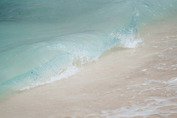 istock Wave close-up on the beach in Maldives 2218234932