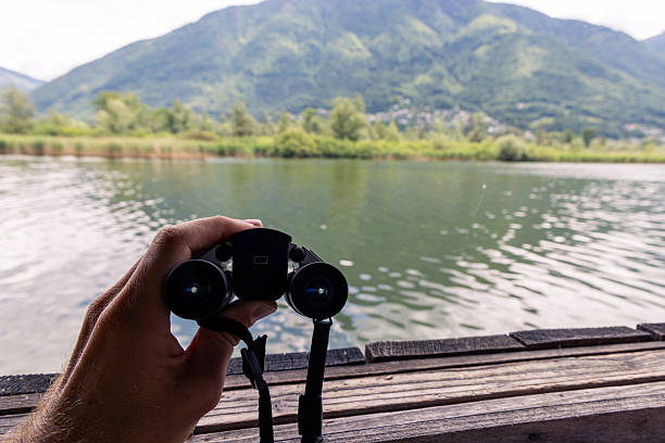 Close-up of hands holding binoculars, focusing on serene lake. Nature enthusiast capturing scenic landscape from wooden hide. Perfect for outdoor and wildlife themes.