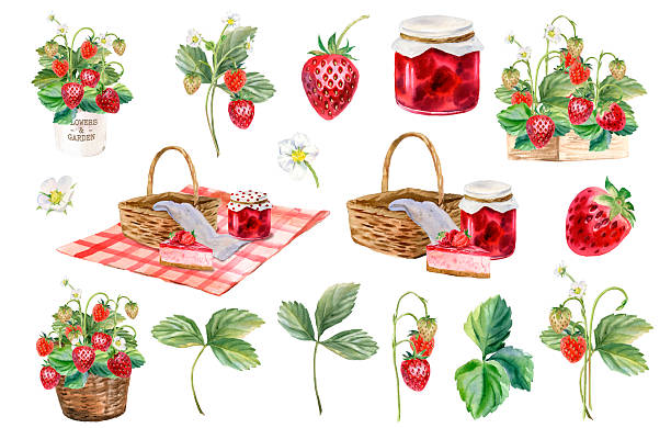 Hand draw watercolor illustrations for invitations, Baking Branding, Wedding Decor