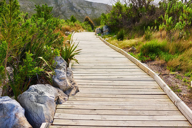 A tranquil wooden pathway meanders through vibrant greenery and rocky accents, nestled in a serene South African landscape. An inviting scene showcasing the harmony between rustic elements and the lush African scenery.
