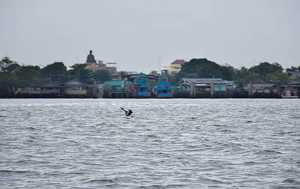 Birds fly over rivers, communities and Buddha statues in Thailand