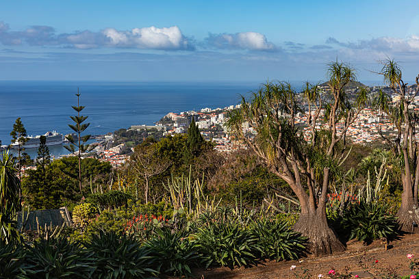 istock Madeira, Portugal 2218251843