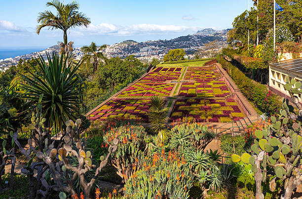Madeira, Portugal - April 25, 2025: Madeira Jardim Botânico, Madeira Botanical Garden.