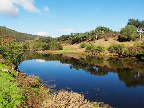 istock Alentejo Landscape 2218253407
