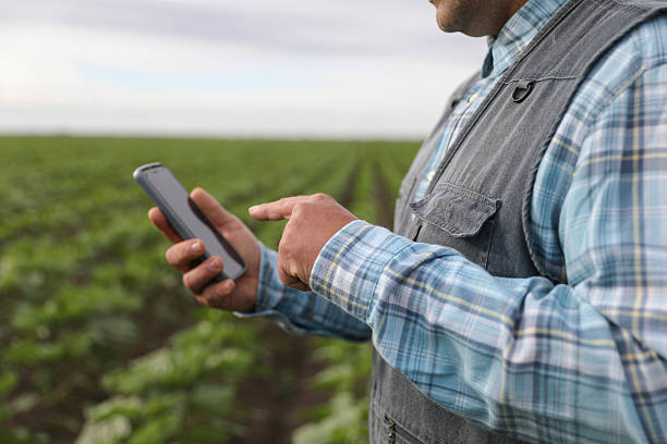 istock A 50+ Farmer uses Smart Technology to examine his Crops. 2218257597
