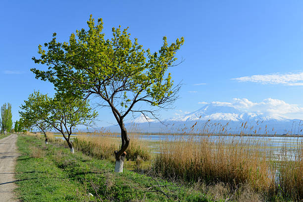 The Ararat mountain view from Armenia