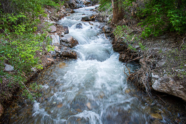 istock Santaquin Creek Flows Through Tinney Flat Campground in Utah 2218263105