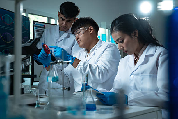 istock Three young scientists in lab coats working together in a laboratory examining a petri dish for microbiology biology and medical research with focus on education and innovation 2218264133