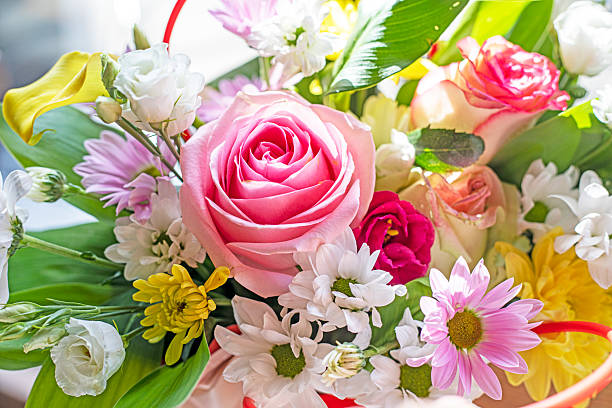 istock beautiful pink rose close-up with chrysanthemums 2218266605