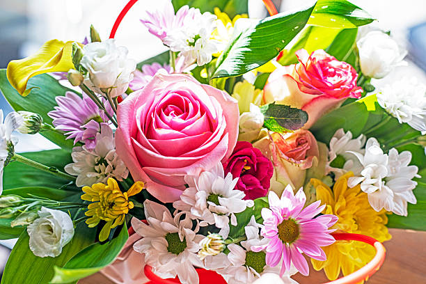 istock beautiful pink rose close-up with chrysanthemums 2218266870