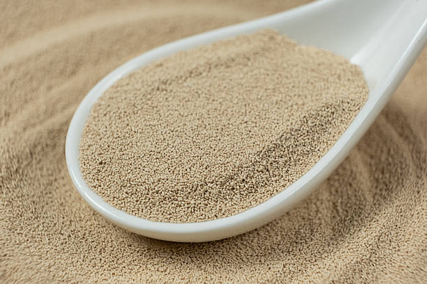 istock Dry Baking Yeast in a Spoon Close-Up. 2218272667