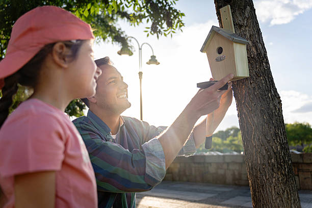 istock Father and daughter bonding while setting up a birdhouse on a tree 2218273366