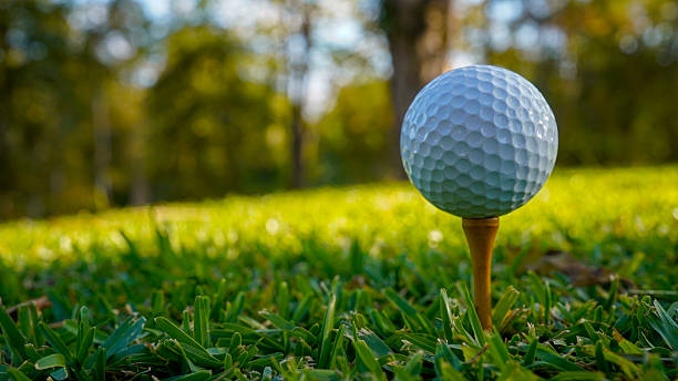 istock Golf ball on green grass in the evening golf course with sunshine background. 2218274955