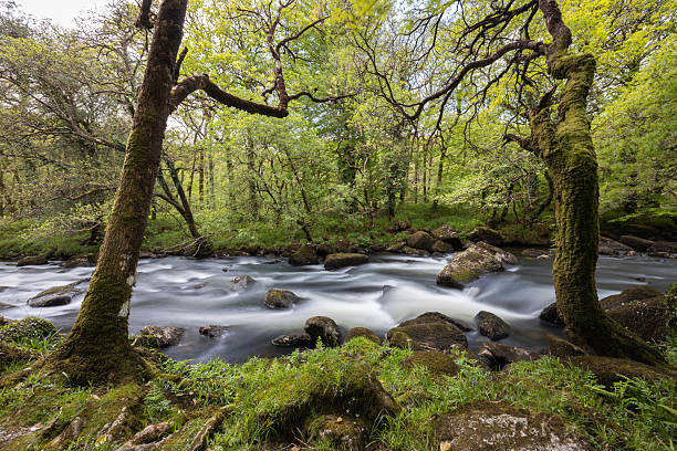 South of Badgers Holt with a long exposure