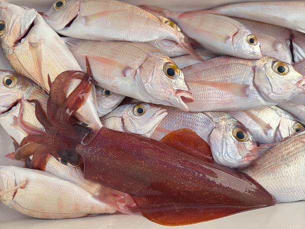 Squid jig and blue sea