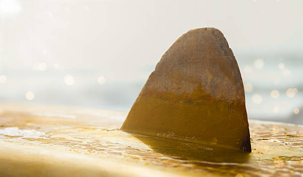 Yellow surfboard on the beach with blurred background. Close up photo. Travel photo, copy space for text, nobody. Active watersport concept.