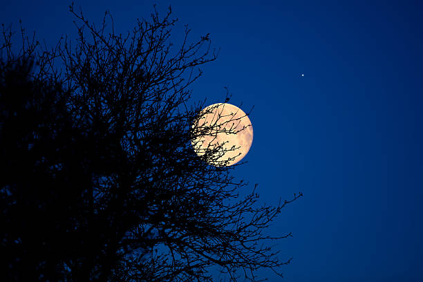 istock Full Moon, stars, planets and landscape scenery silhouettes. 2218282070
