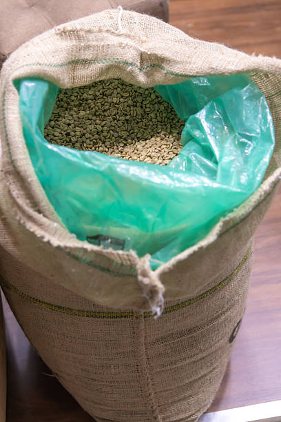 Sacks of raw coffee or raw grain food lined up in storage before distribution