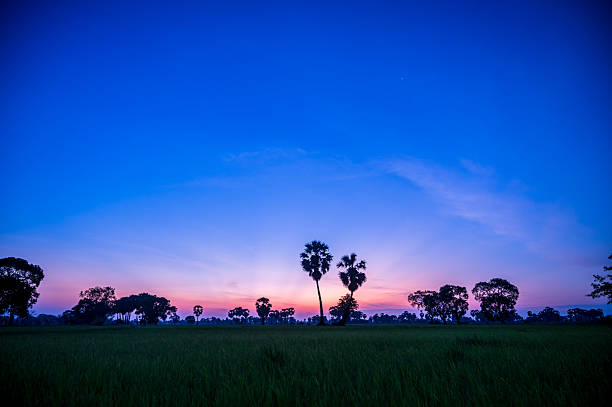 The awe of nature