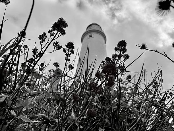 Low angle view of St Mary’s Lighthouse at Whitley Bay
