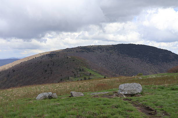istock Hilltop view on Roan Mountain 2218284683
