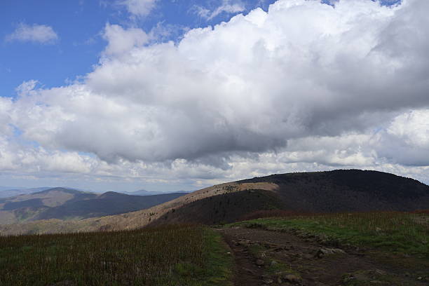 istock View of the valley from Roan mountain 2218284701
