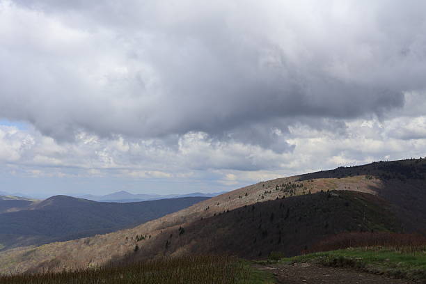 istock Hilltop view on Roan Mountain 2218284705