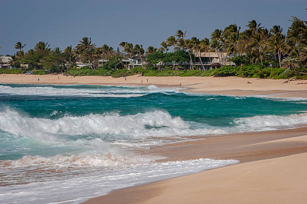 Waimea, Hawaii, February 28, 2008:  Waimea Bay Beach is a stunning North Shore gem known for its golden sand, crystal-clear waters, and world famous winter surf that draws thrill-seekers and sun lovers alike.