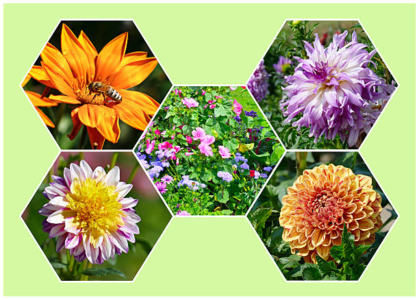 Beautiful bright summer flowers in a honeycomb frame on light green background.