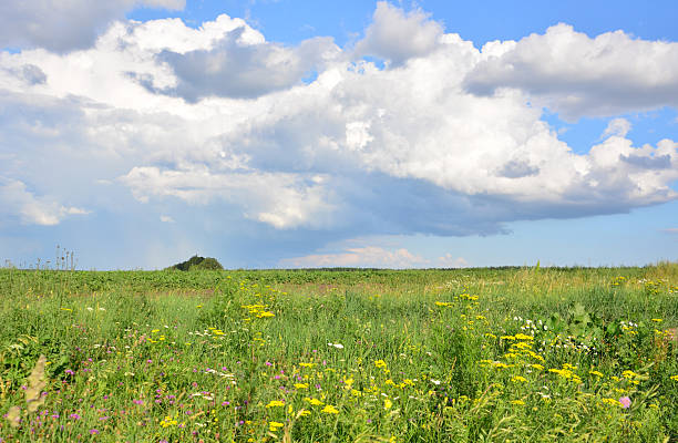 istock A beautiful landscape with a meadow, blue sky and clouds wallpaper 2218287776