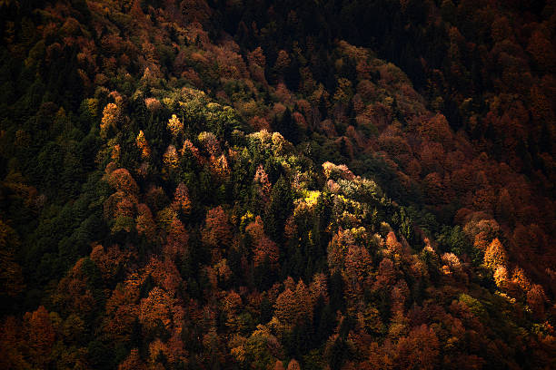 Autumn on Mountain Slopes – Black Sea Region