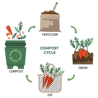 Compost Process Infographics Compost Life Circle Infographic Composting Process Recycling Organic ...