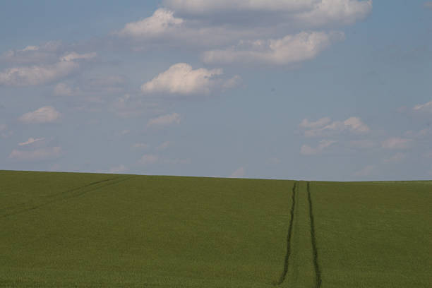 istock A large green field with white text 2218291158
