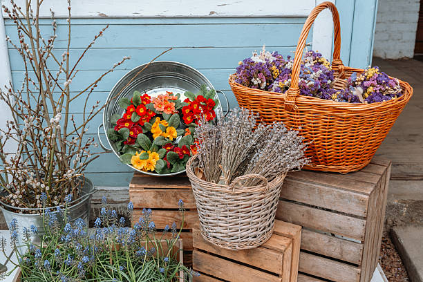 istock Vibrant flower arrangements displayed in rustic baskets by a blue wall 2218291633