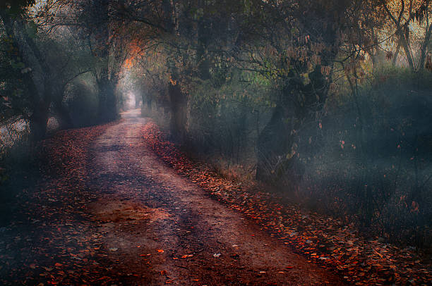 Dark creepy landscape and footpath