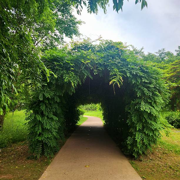 istock The Journey Ahead: A Natural Archway Leading to a New Beginning 2218304641