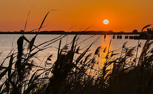 istock Spring sunrise over the ebro delta in deltebre, catalonia. 2218308138