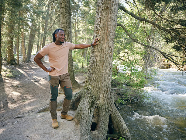 A young man on a hike in a forest. Utah, USA.