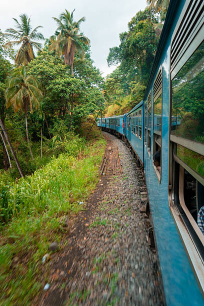 Railway tracks cutting through the lush tropical rainforest in Sri Lanka, surrounded by dense green vegetation and humid jungle scenery. A typical view of the island’s historic rail network winding through remote nature and mountainous terrain. Peaceful, atmospheric travel and landscape scene in South Asia.
