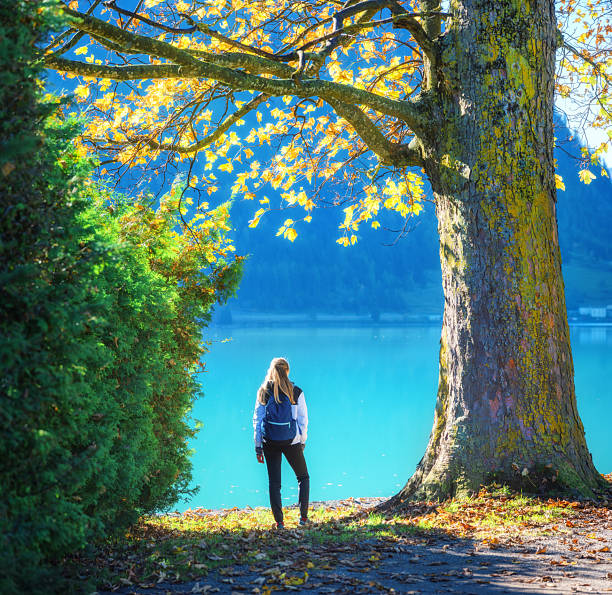 Young woman with backpack standing under a large tree with yellow leaves, admiring beautiful mountain lake with turquoise water in autumn at sunrise. Girl on the alpine lake in fall. Hiking. Lifestyle