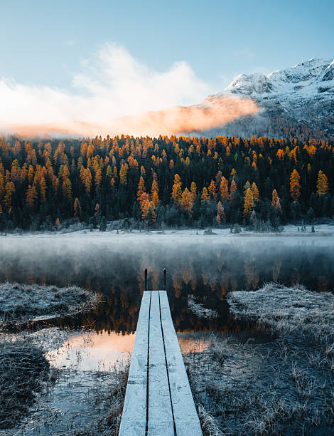 Boardwalk over lake below mountains and forest in autumn at sunrise, mist rises over lake and larch forest, Engadine Alps, Graubunden Canton, Swiss Alps